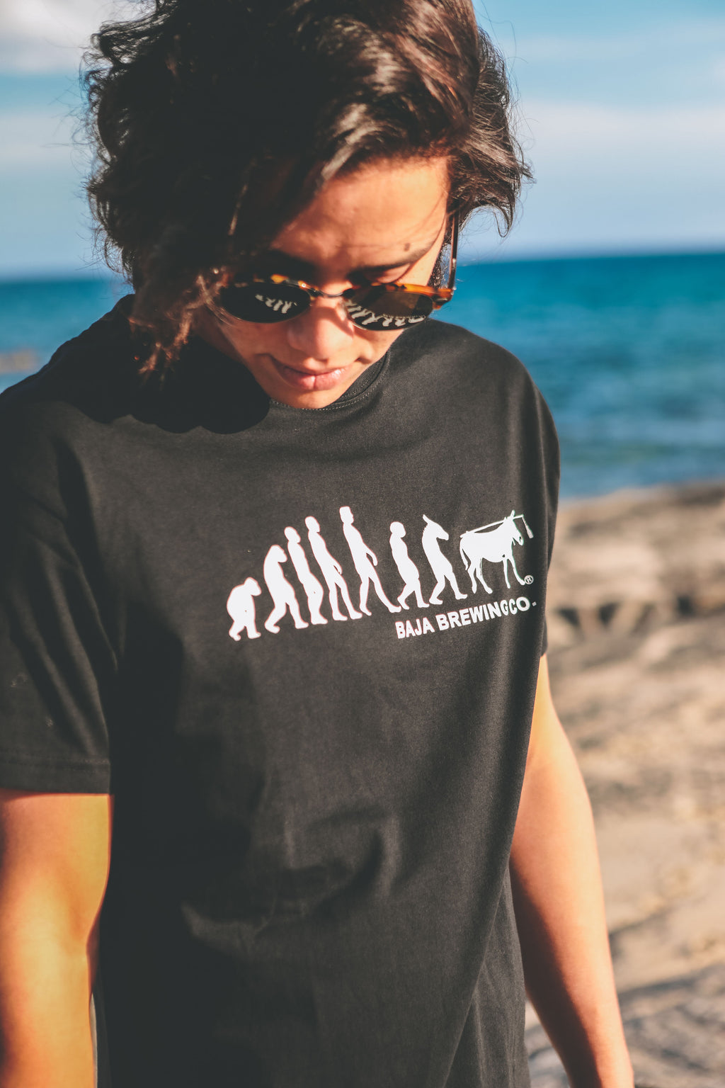PLAYERA BURRO EVOLUCIÓN