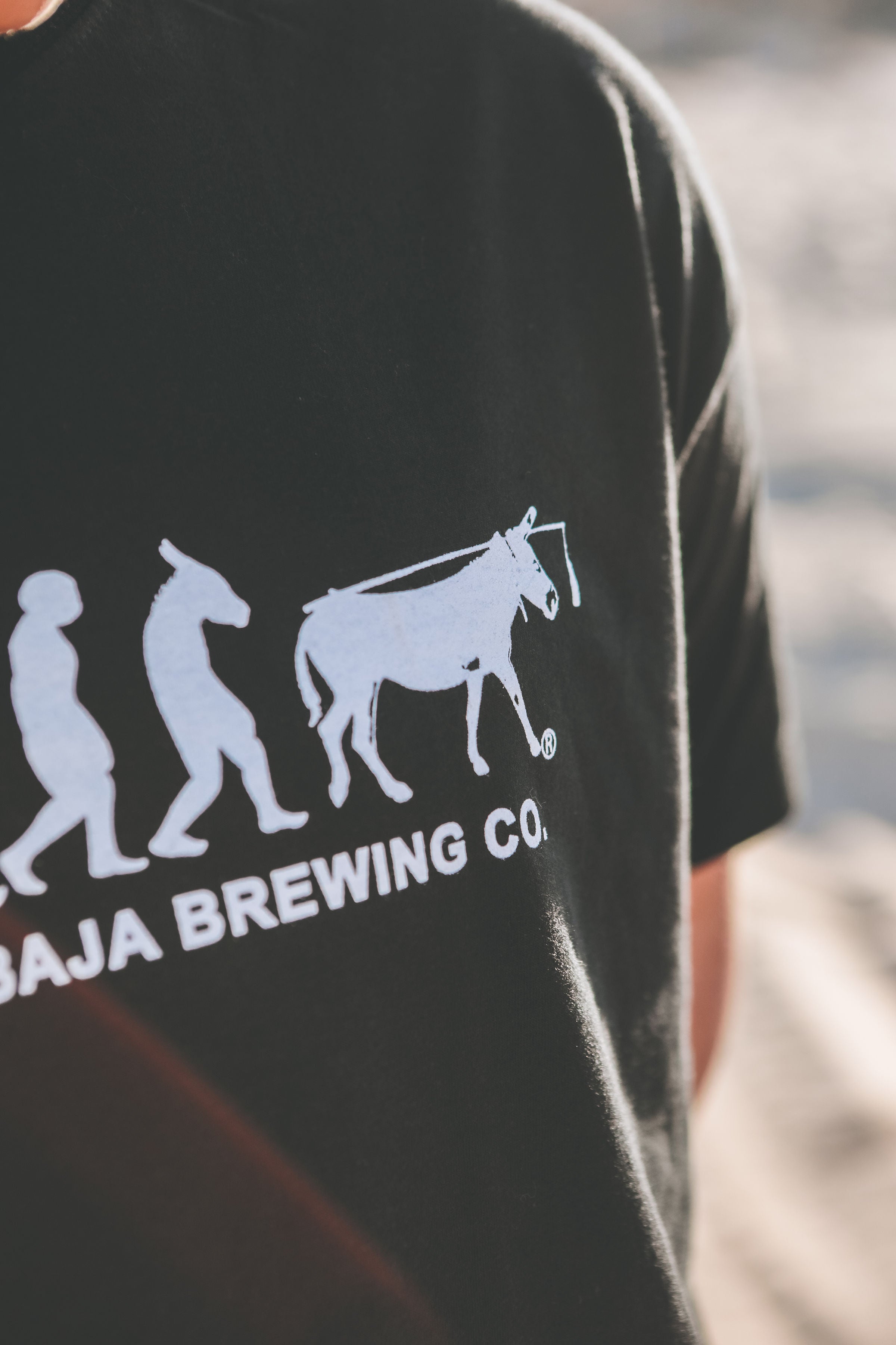 PLAYERA BURRO EVOLUCIÓN