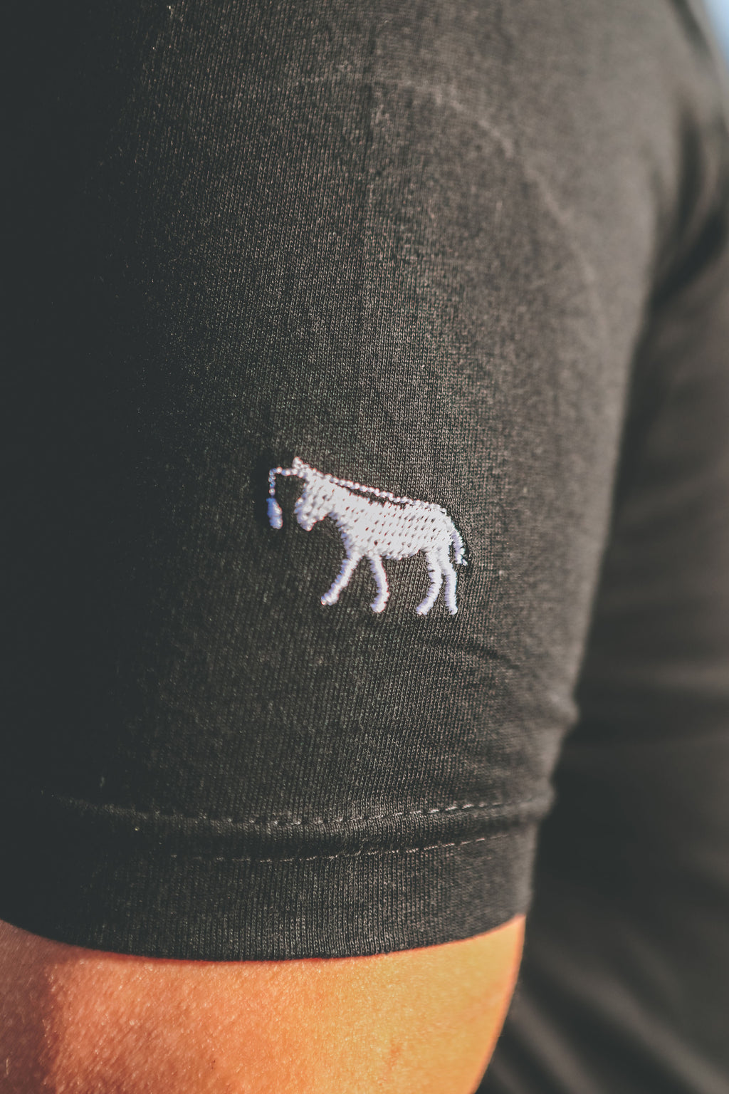 PLAYERA BURRO EVOLUCIÓN