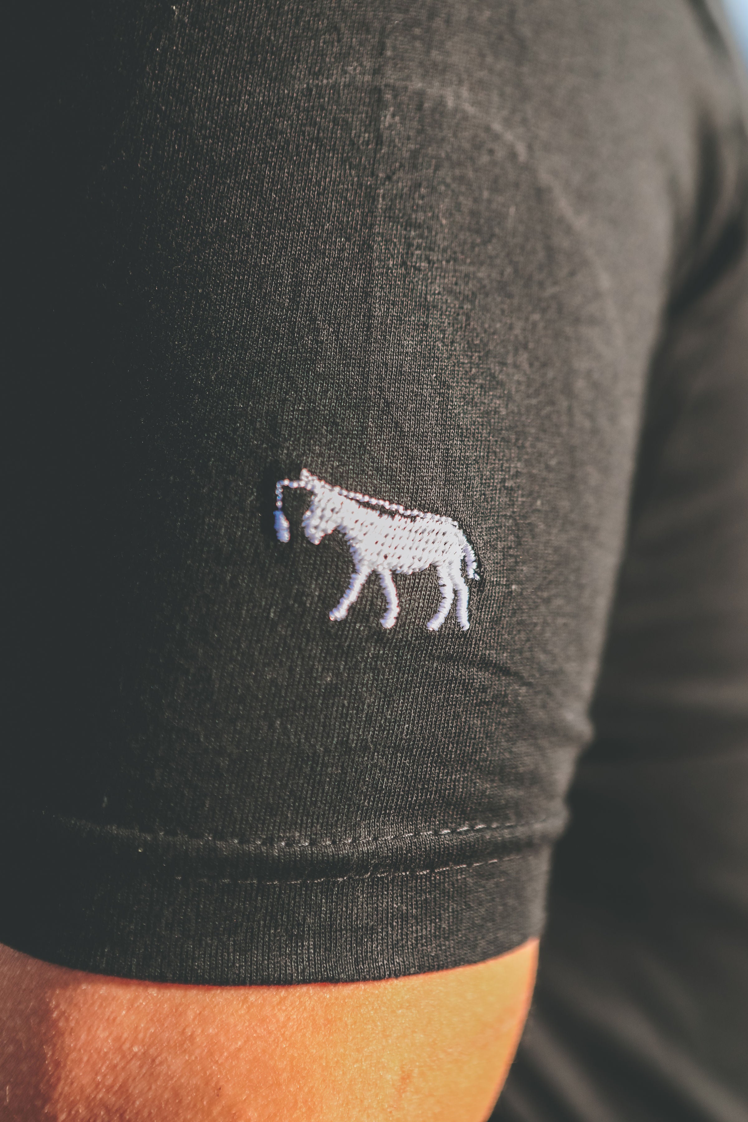 PLAYERA BURRO EVOLUCIÓN