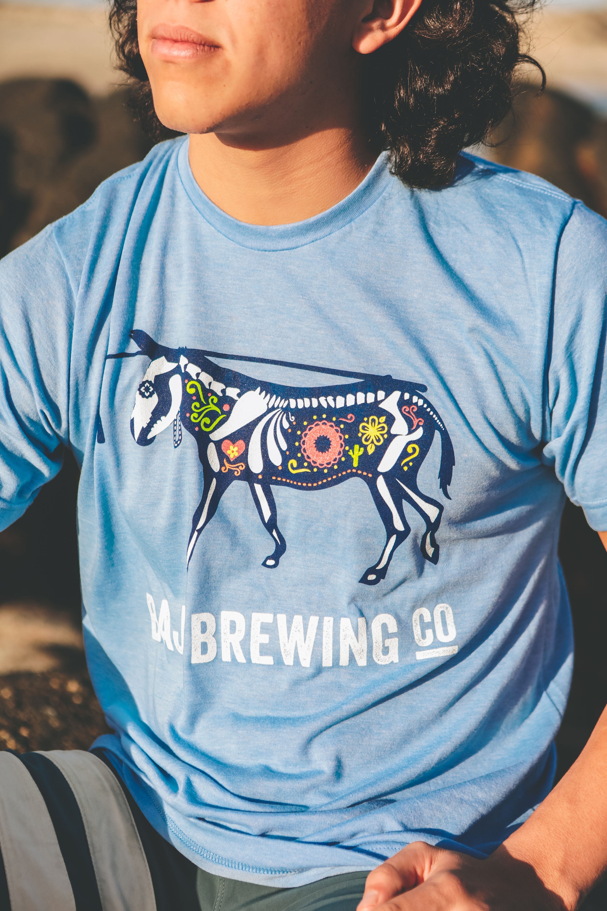 PLAYERA BURRO CALAVERA