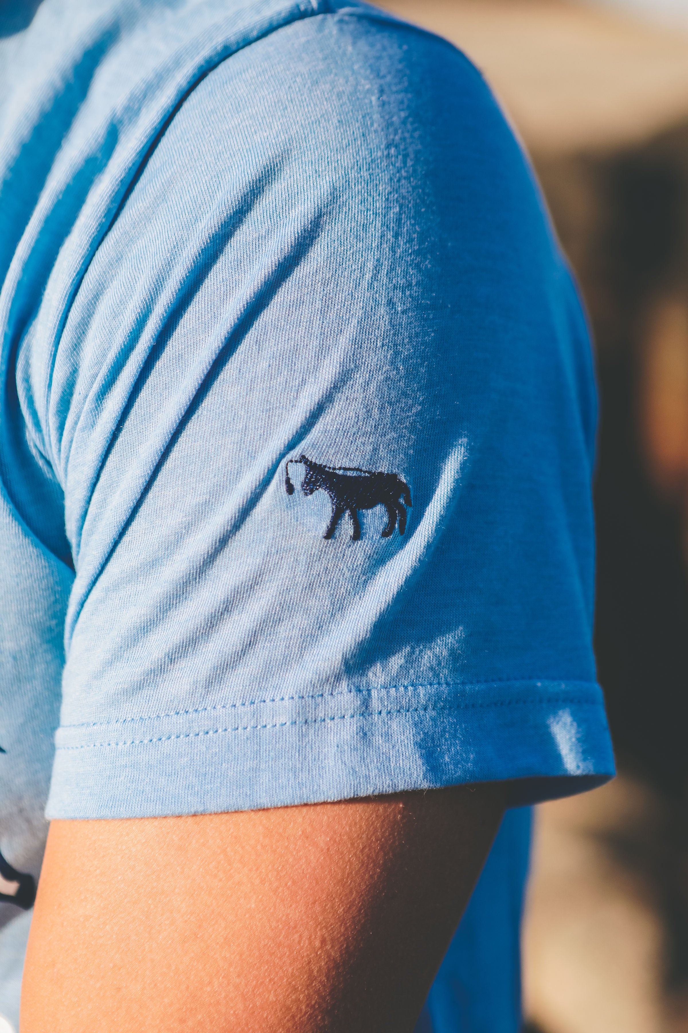 PLAYERA BURRO CALAVERA