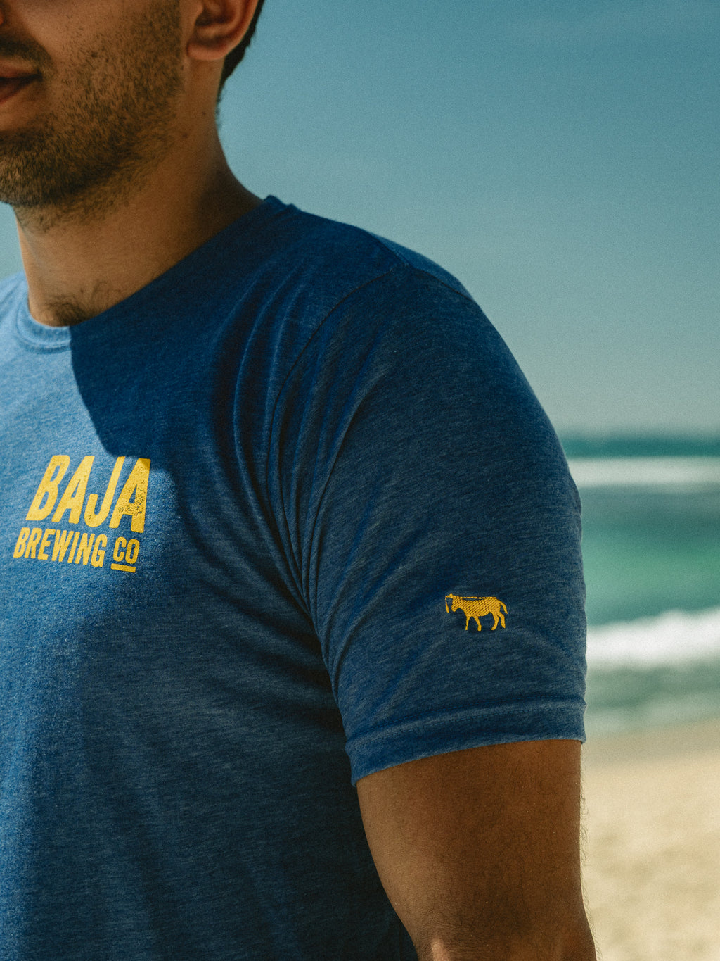 PLAYERA PINTA BAJA